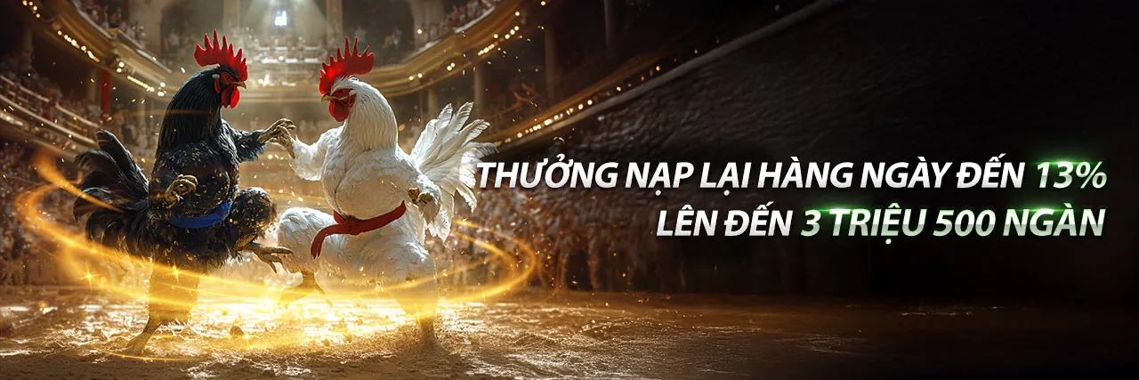 Hình ảnh cá cược thể thao 13wim Nổ Hũ với sân vận động sôi động
